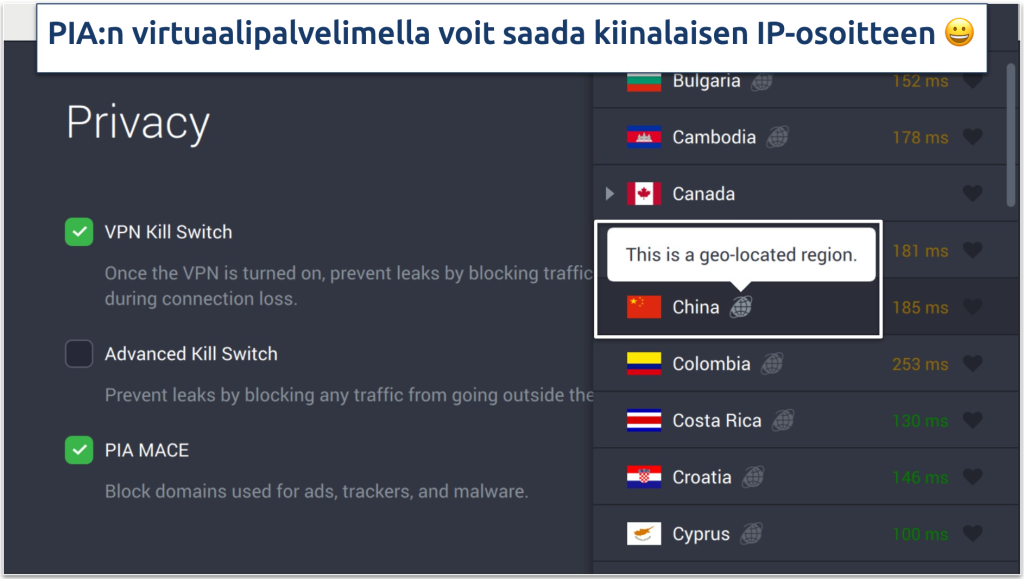 Screenshot of PIA's privacy settings and virtual servers in the app